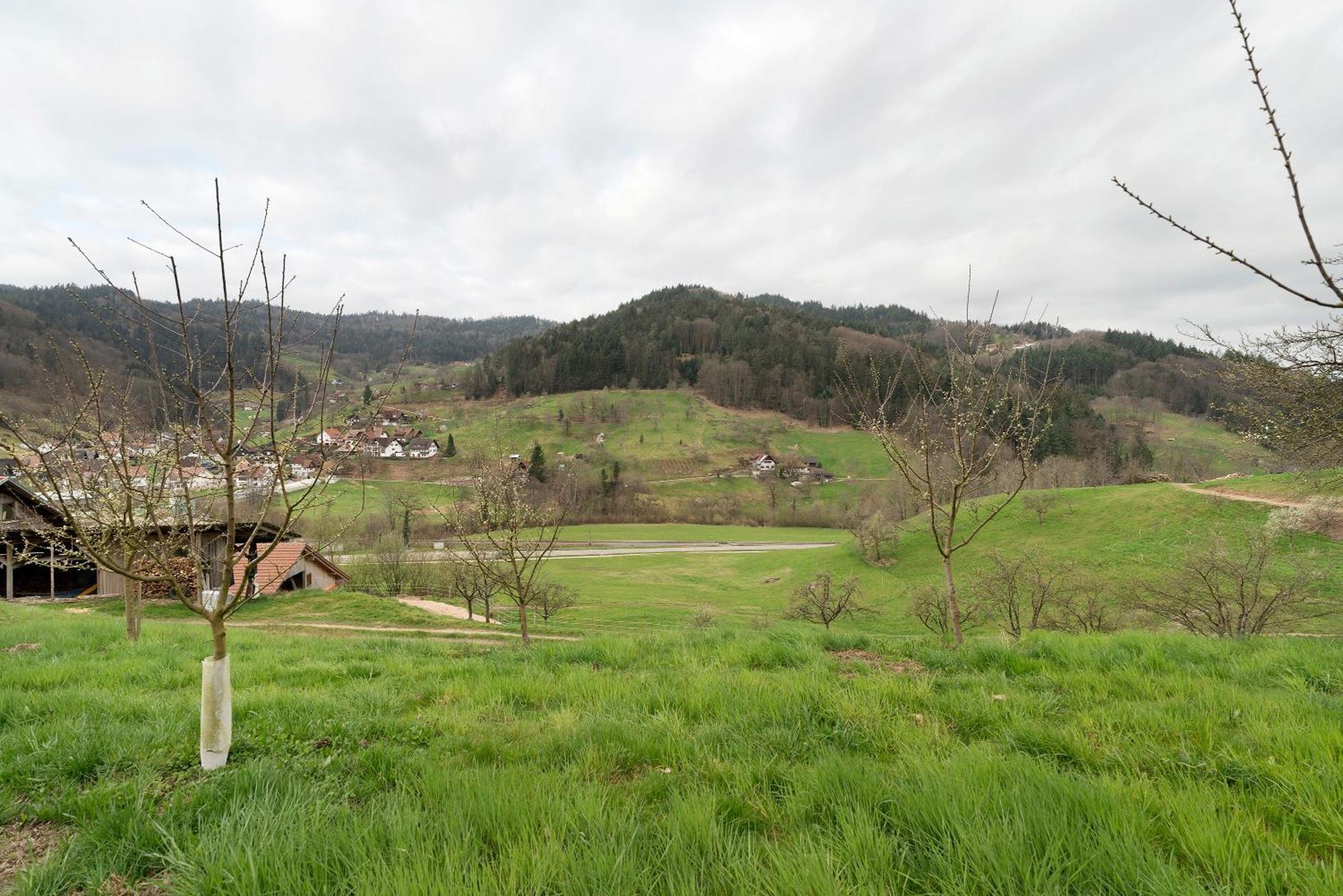 Haus Am Schroffen Apartamento Ottenhofen im Schwarzwald Exterior foto